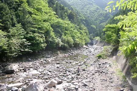akJ