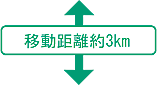 ړ3km